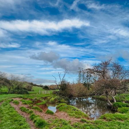 Dapps Hill Haven - Between Bristol And Bath, Both 9 Mins By Train! Keynsham Extérieur photo