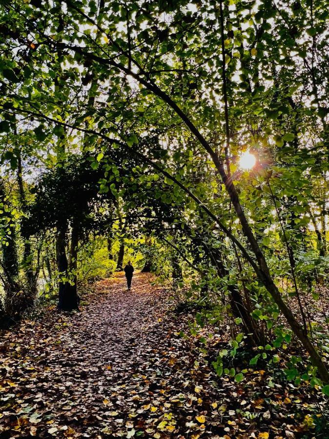 Dapps Hill Haven - Between Bristol And Bath, Both 9 Mins By Train! Keynsham Extérieur photo