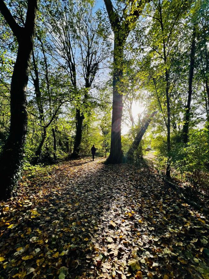 Dapps Hill Haven - Between Bristol And Bath, Both 9 Mins By Train! Keynsham Extérieur photo