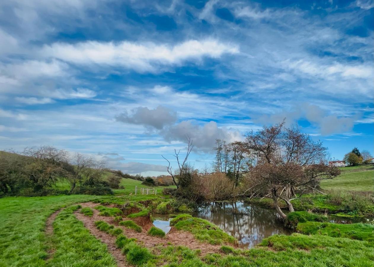 Dapps Hill Haven - Between Bristol And Bath, Both 9 Mins By Train! Keynsham Extérieur photo